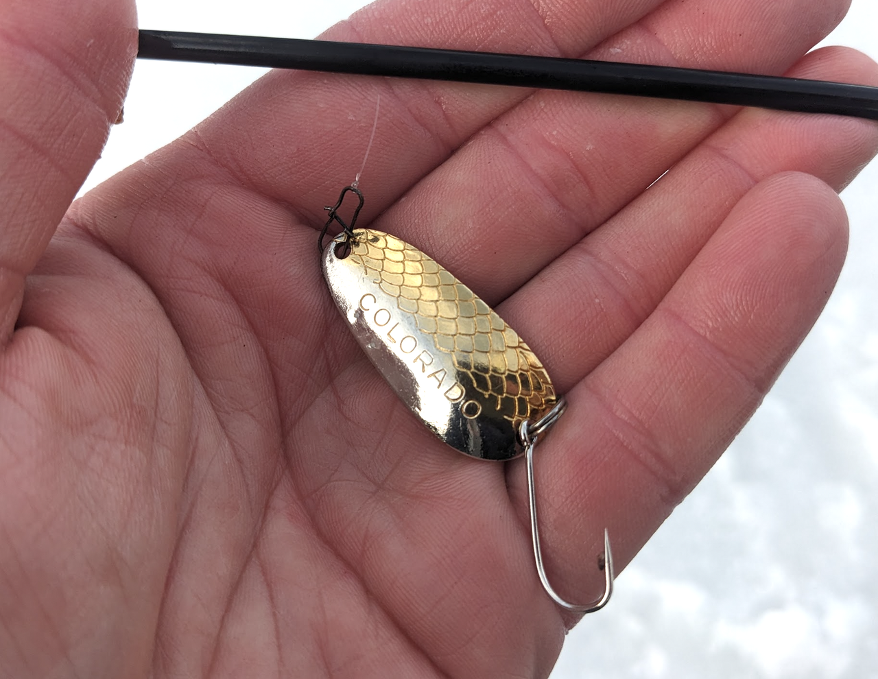 Screenshot 2026 03 01 at 6 53 07 AM