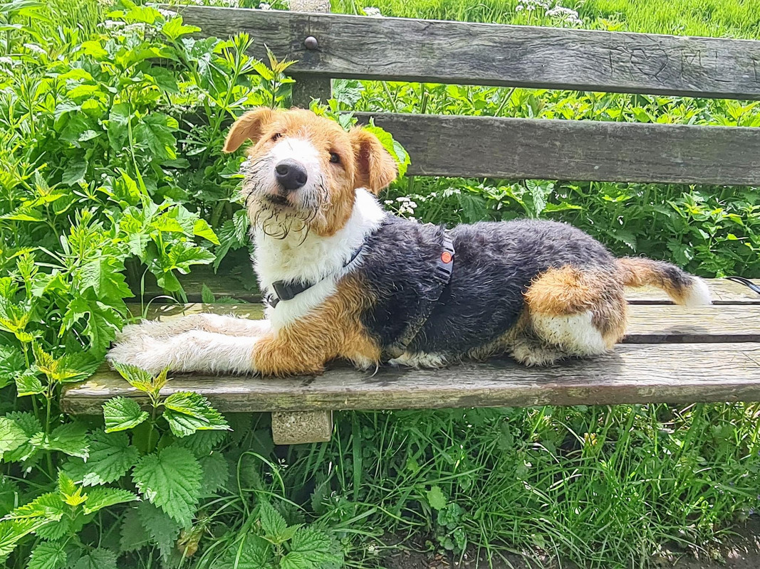 D94FF732-8D81-4461-8AAA-CFCBC3C1B111