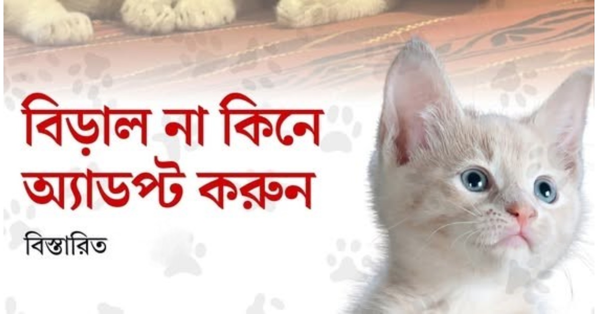 িড়াল না কিনে অ্যাডপ্ট
