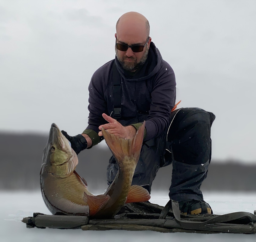 1F61D4C5-3CDB-4C4D-A9D1-78D2A47EC0A6