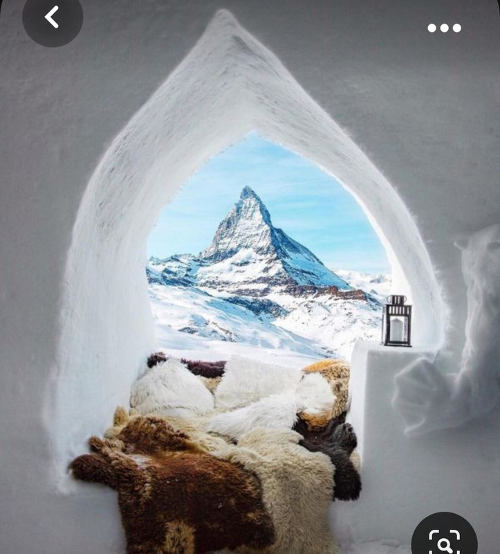 Screenshot_20231017_193250_Pinterest