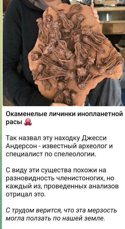 [Изображение: ccc91d95e8940de5b73998908c30171e.jpg]
