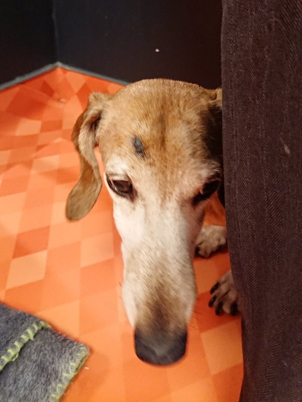 [Image: 20250113-090222.jpg]