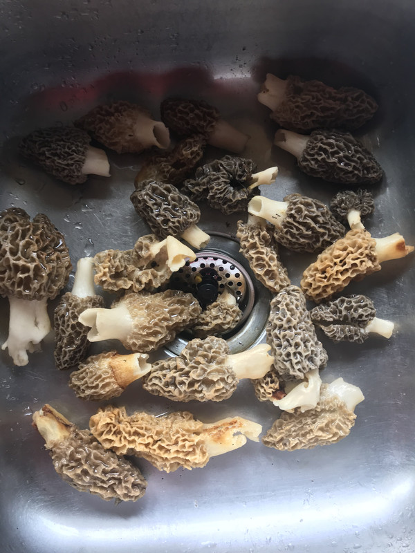 930E1B52-97A2-4D04-A1AD-1DFC2D6BB1A2