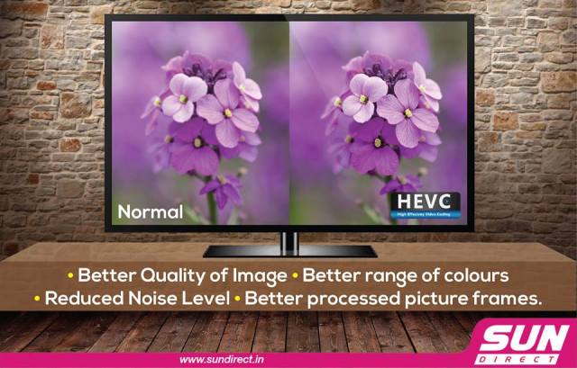 hevc-sundirect