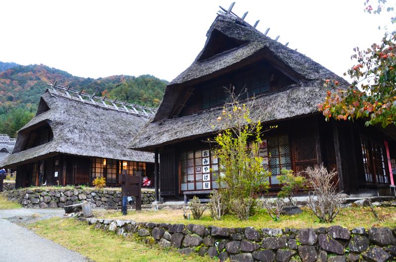 Saiko Iyashi no Sato Nenba-16-11-2024 - Japón y sus Pueblos-2024 (6)