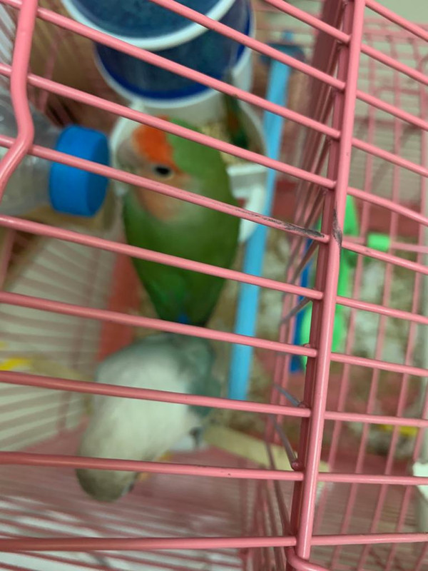 441DD034-92E4-449F-A62C-AC9636CC588B