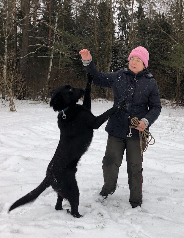 D0B154A6-9432-4224-839D-E119D5FD332B