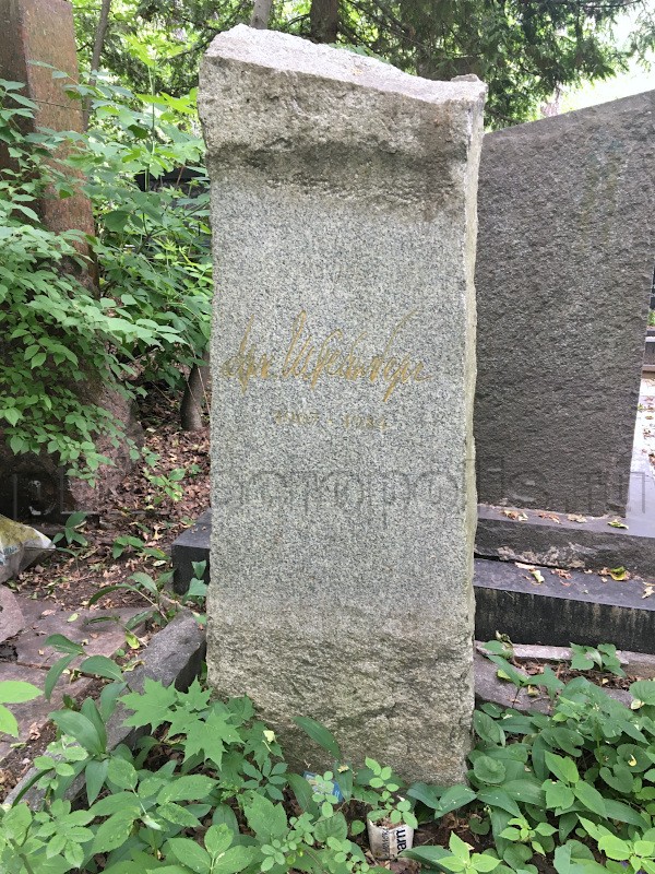 shteynberg