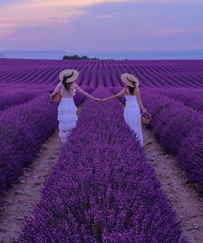 Screenshot_20230717_224310_Pinterest