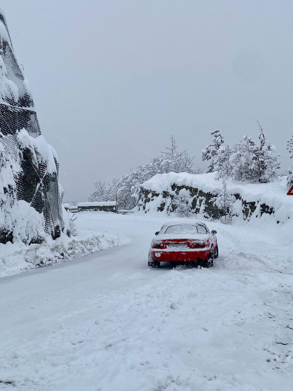 [Immagine: 6037361685074480312.jpg]