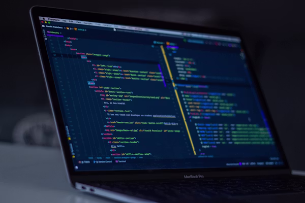 T-rex coding space