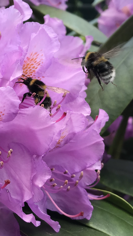 425A8005-40D3-4E7A-930E-456EF6348A25