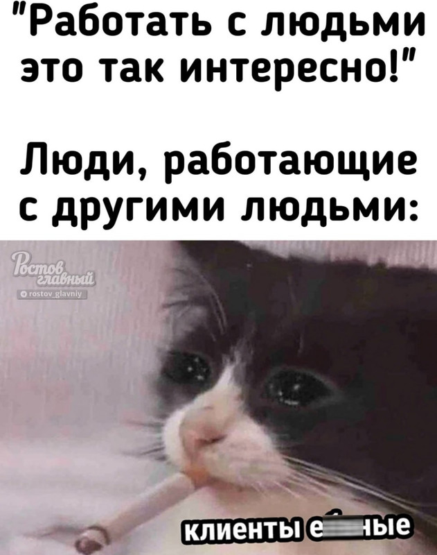 1000202141.jpg