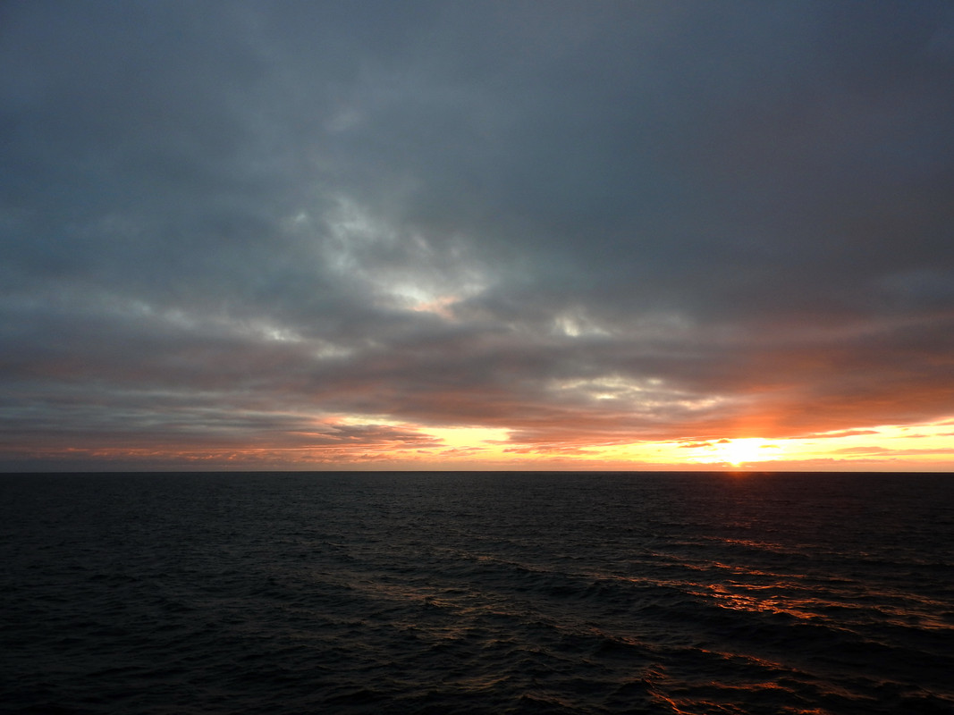 DSCN6339.jpg