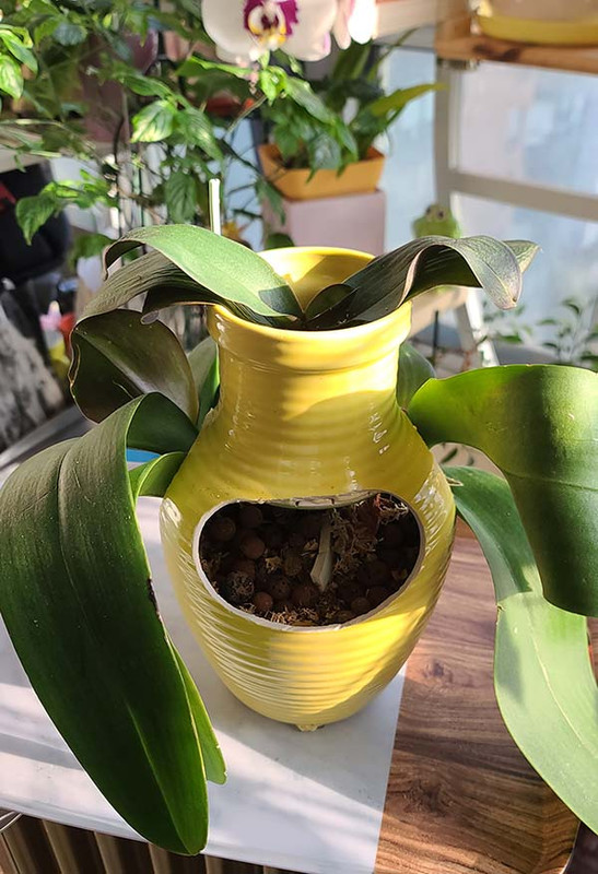 [Image: 20230918-090323.jpg]