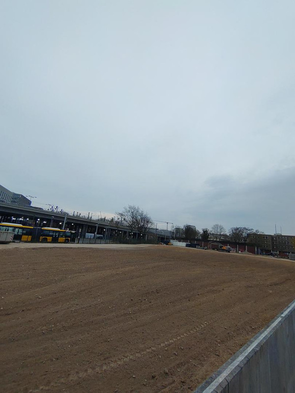 DSC_1142.jpg