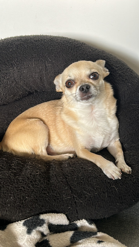 0EB501B5-3DB7-4B72-9783-2A103EEF16DC