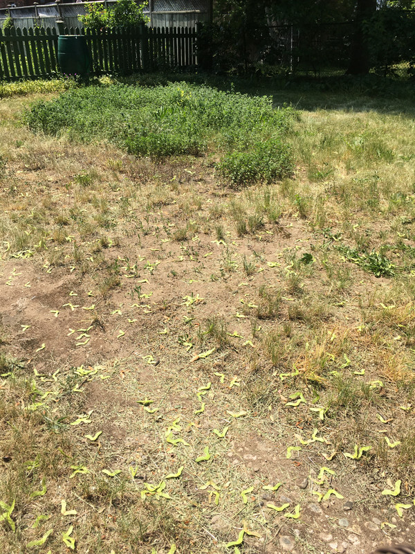 9ED796A6-E1B4-40D5-8C7D-54E10F0F6DAD