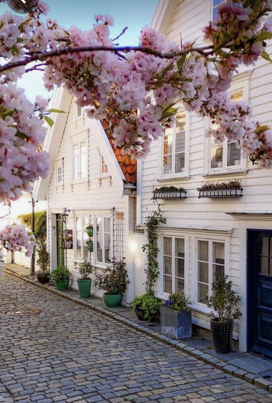 Screenshot_20240405_200639_Pinterest