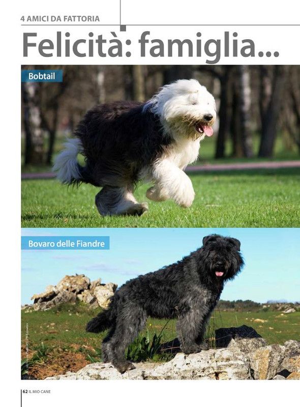 Il M C Mag-Giu 2024 (9)