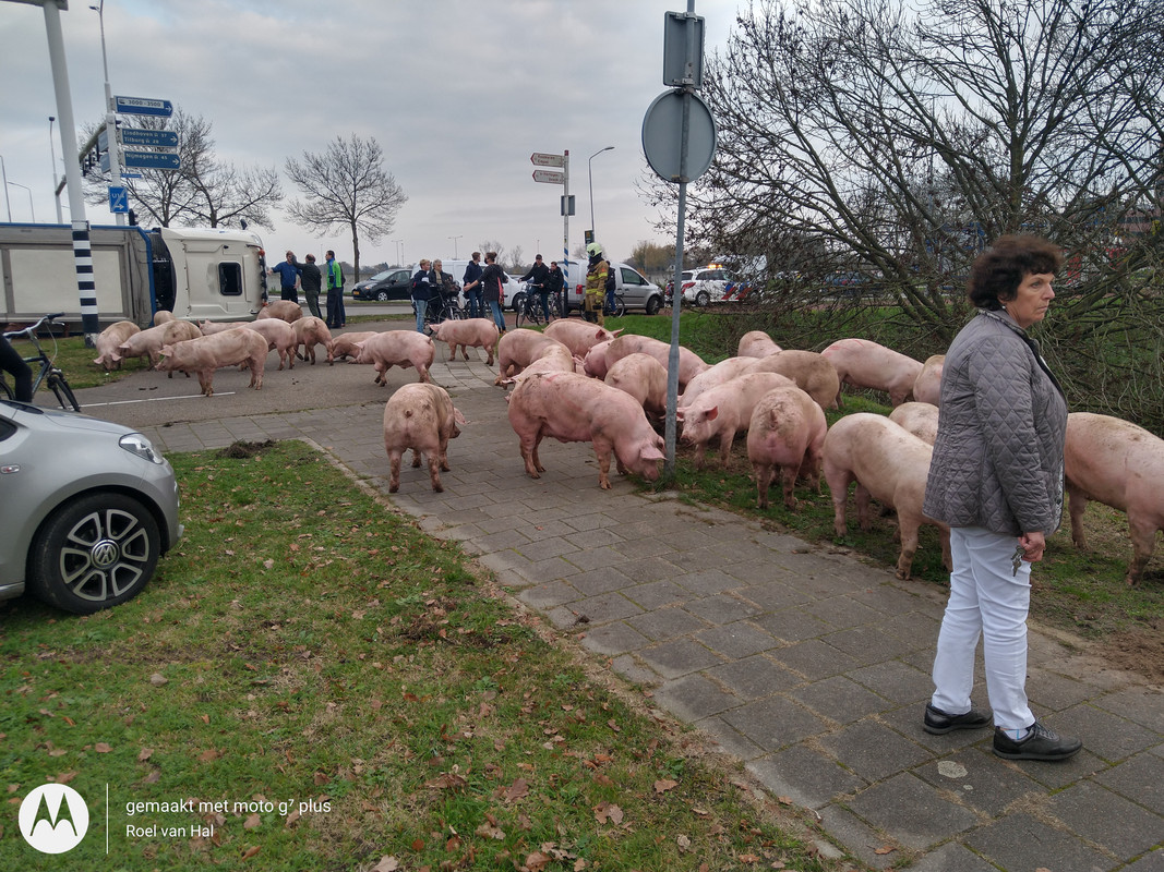 IMG_20201125_134205806_HDR