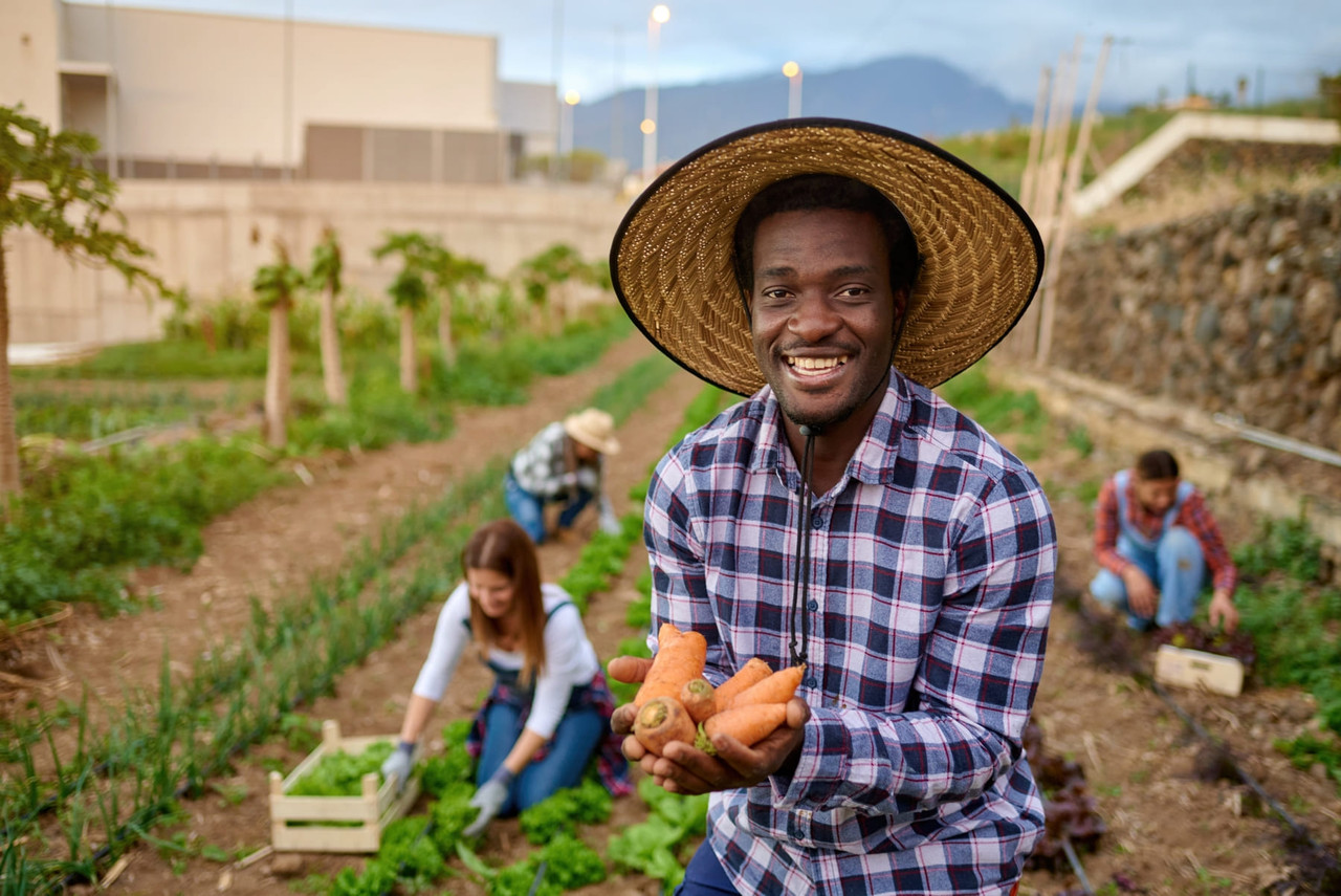 Harvest produce