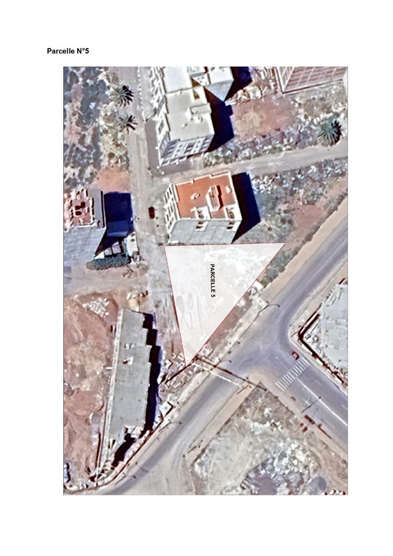 Details-appel-d-offre-CRI-Nador-page-0021