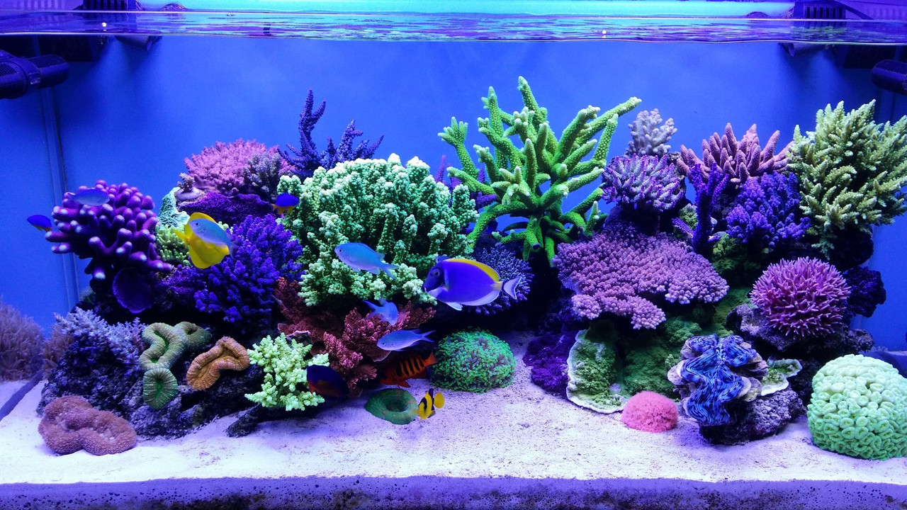 54496CAD-A88D-4EAD-BAA7-2A16A4827FDC