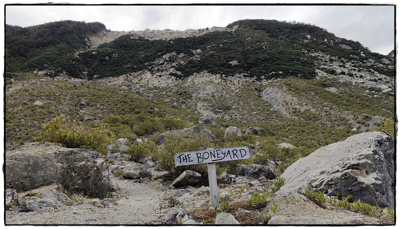 The Old Ghost Road (marzo 2024) - Escapadas y rutas por la Nueva Zelanda menos conocida (60)
