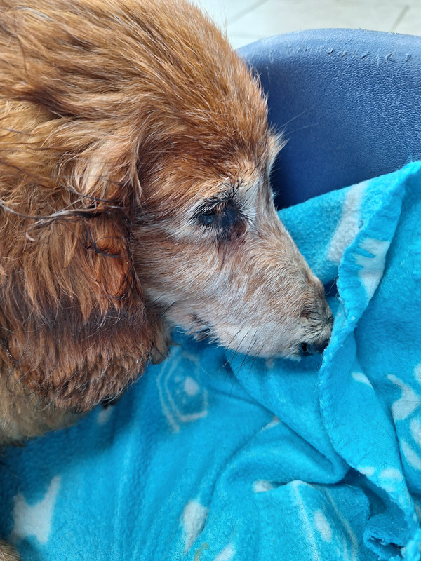 [Image: 20240303-104147.jpg]