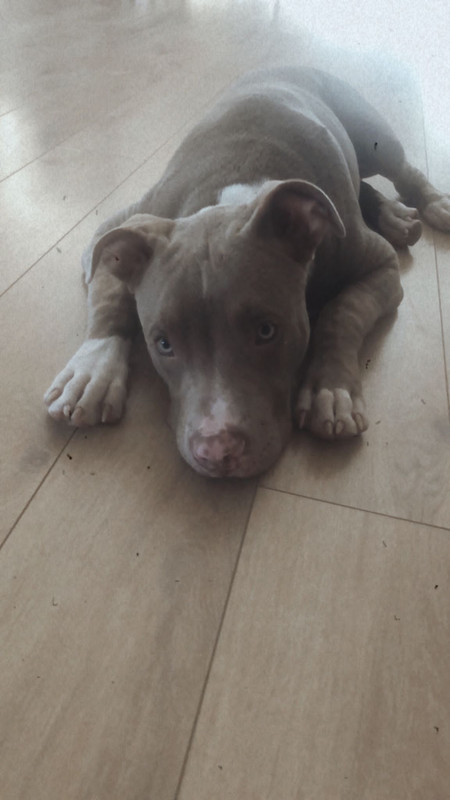 WhatsApp Image 2022-08-19 at 11.35.16 (1)