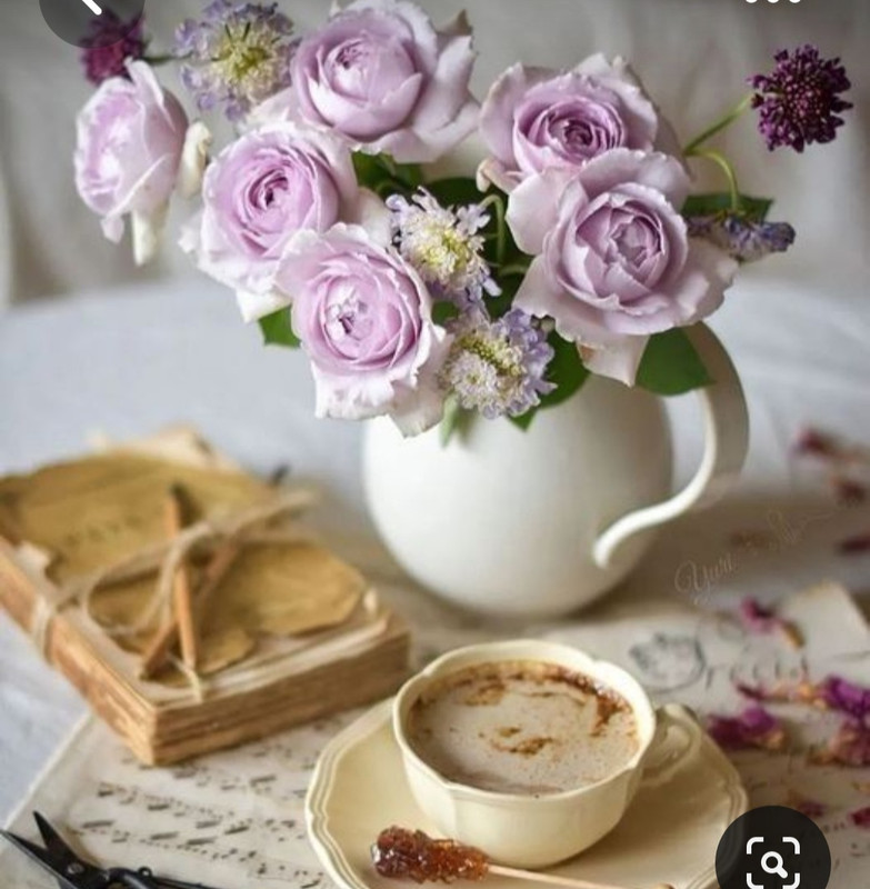 Screenshot_20230616_123521_Pinterest