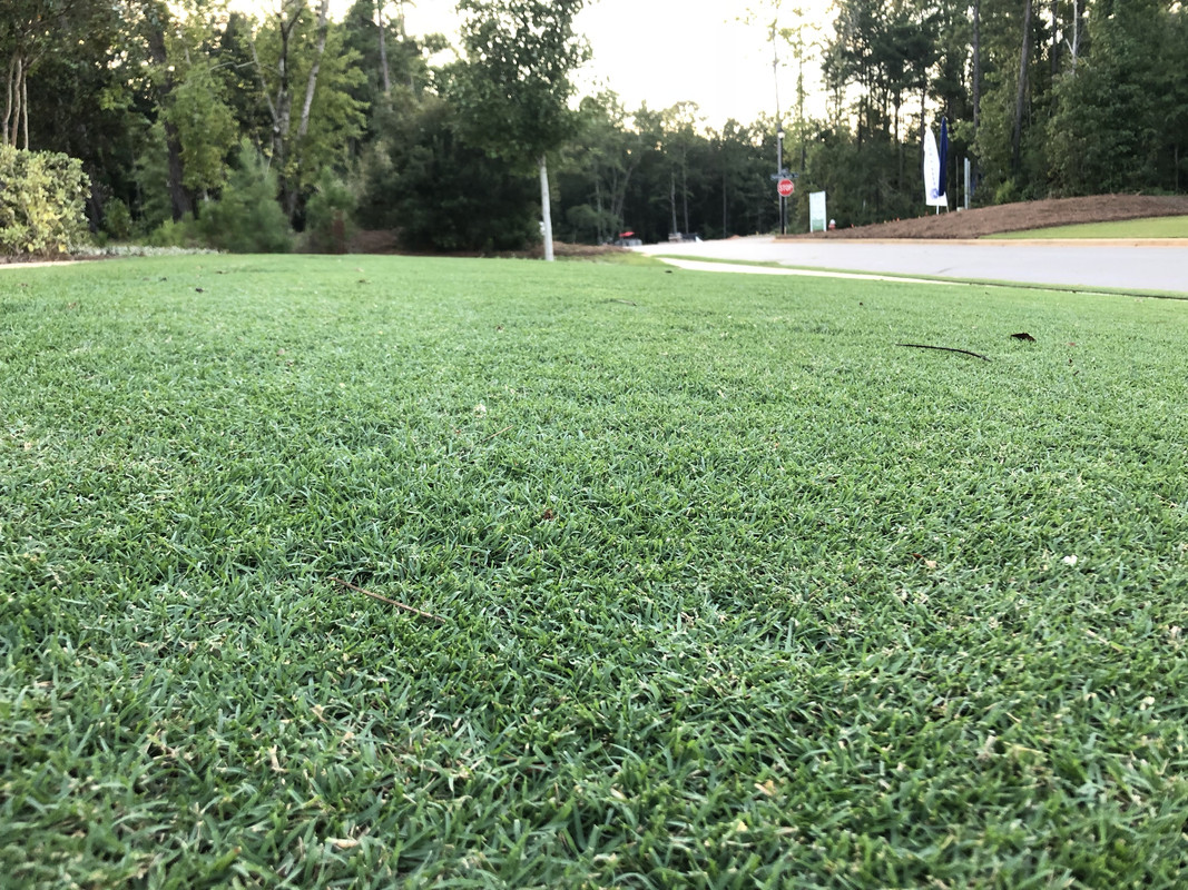 402AE63C-1DE5-45A0-A9EE-57DEB1EEB613