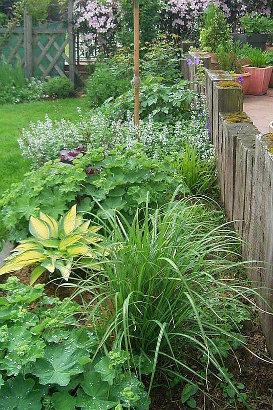 2005Garten 20052013_3