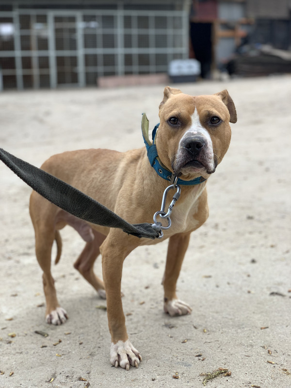 EAE35FE9-D60D-4EF2-B072-0CBCAC9B7B58