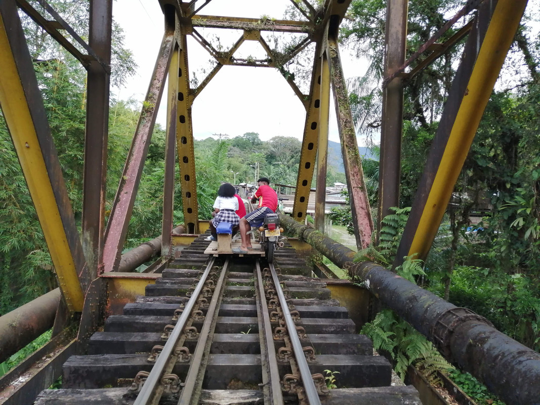 Colombia por libre en 18 días - Blogs de Colombia - Avistamiento de Ballenas en Buenaventura (11)