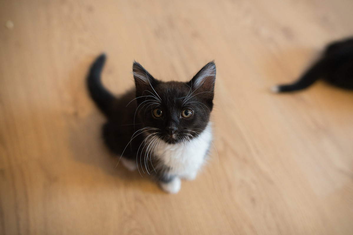 70AD186A-9EFE-417C-9F07-E2055FCE29B2