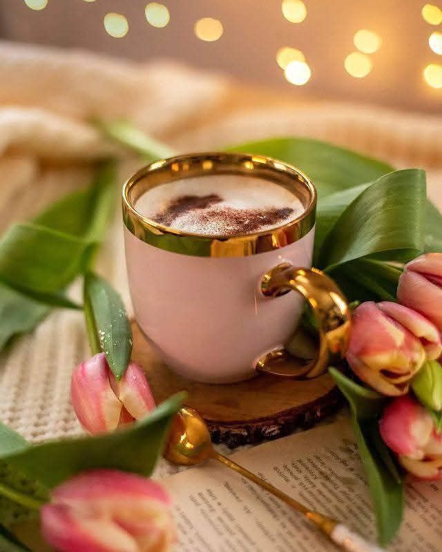 677816607-34981910041452905-273316944046215908-n