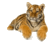 tiger1