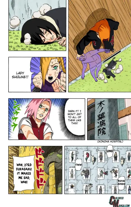 12357953 760 1200 162204