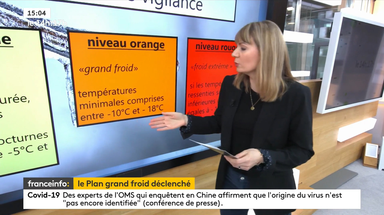 02.09 - 12.59.00 - Le 14H-17H. Au Sommaire   Vrai Ou Fake. - Francein...-1.m4v_snapshot_55.32.124