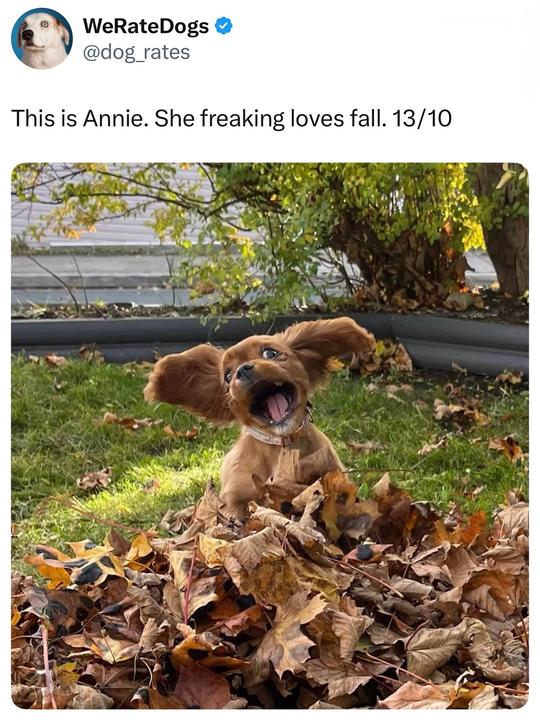 551994569-18485640121078704-1386399763246689384-n