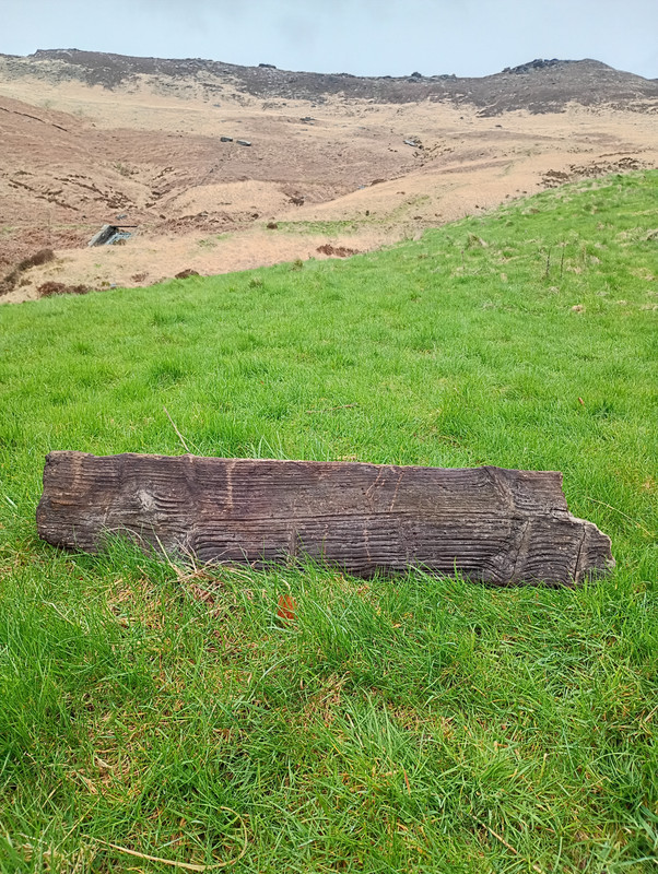 IMG 20260329 082941797 HDR