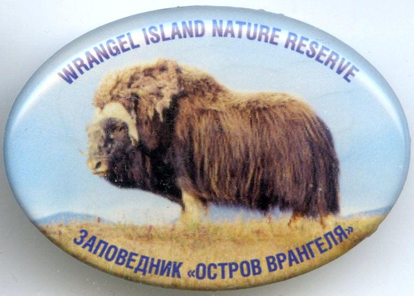 Остров Врангеля 2