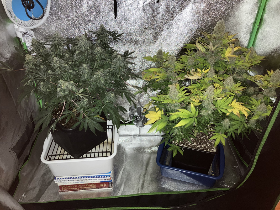 5CF6D80A-E66B-41CE-8A4B-D5609A172624