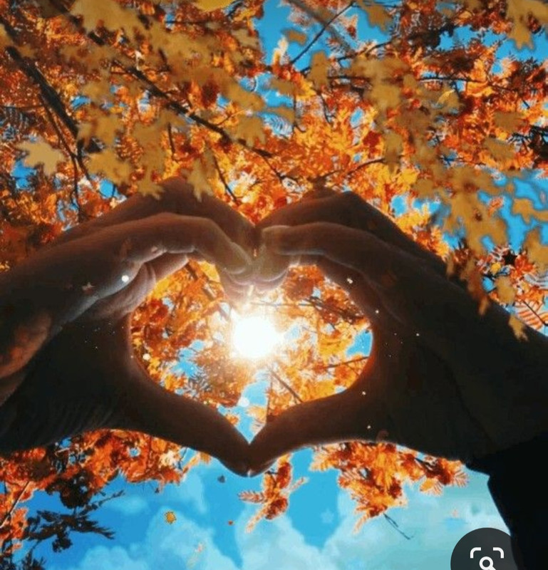 Screenshot_20240210_222042_Pinterest