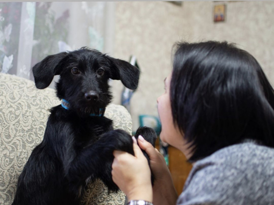 1F97C827-AF16-42AE-B5C2-63E72FA15DCB