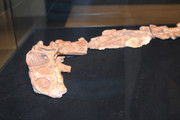 IMG-0742