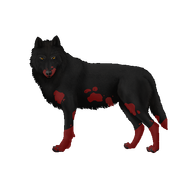 2024_07_03_0t1_Kleki